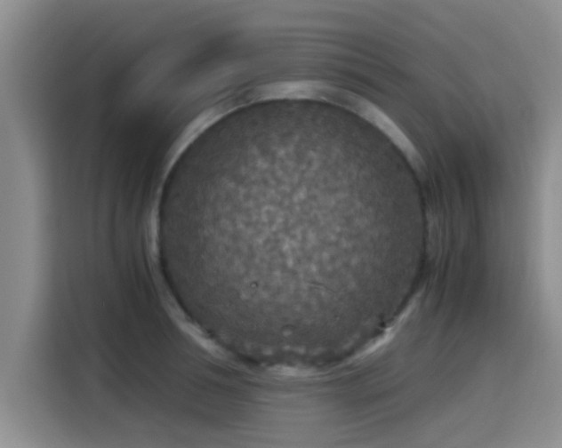 X0000115410994200911101608