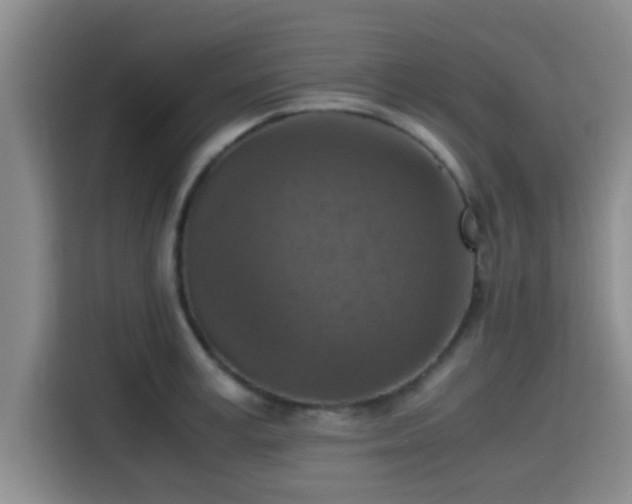 X0000115410995200911101608