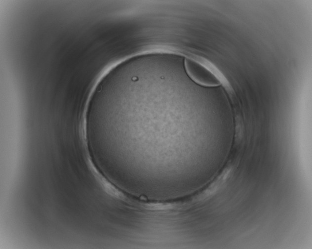 X0000115410996200911101608