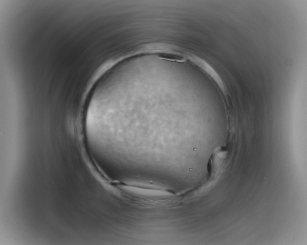 X0000115410997200911101608