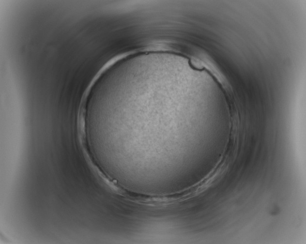 X0000115411000200911101608