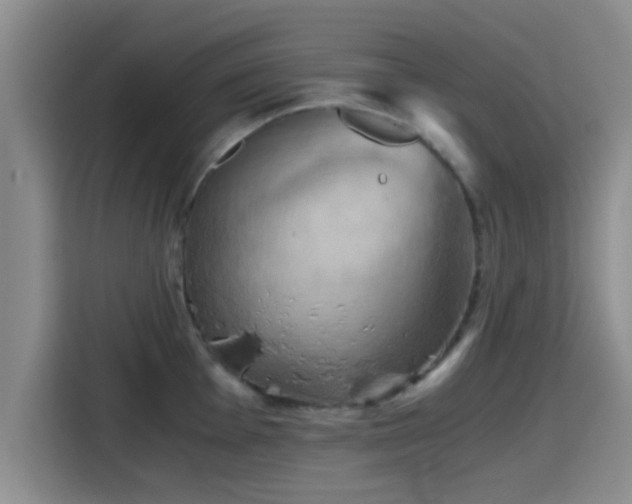 X0000115411001200911101608