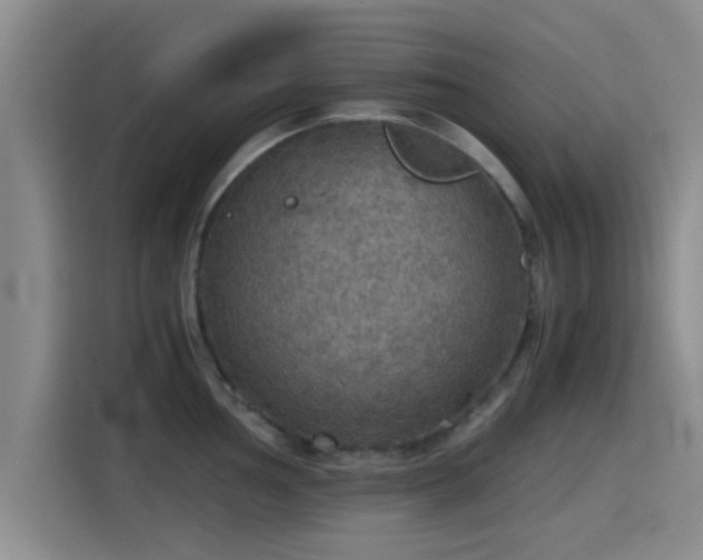 X0000115411002200911101608