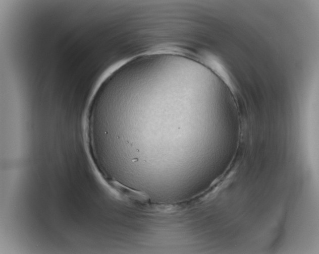 X0000115411003200911101608