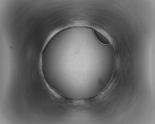 X0000115411006200911101607