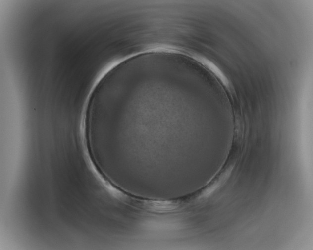 X0000115411007200911101607