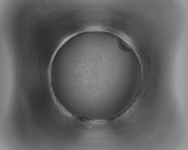 X0000115411008200911101607