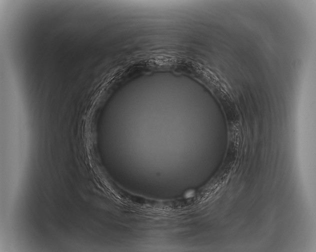 X0000115411009200911101607