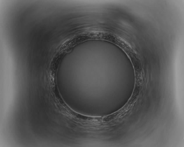 X0000115411013200911101607