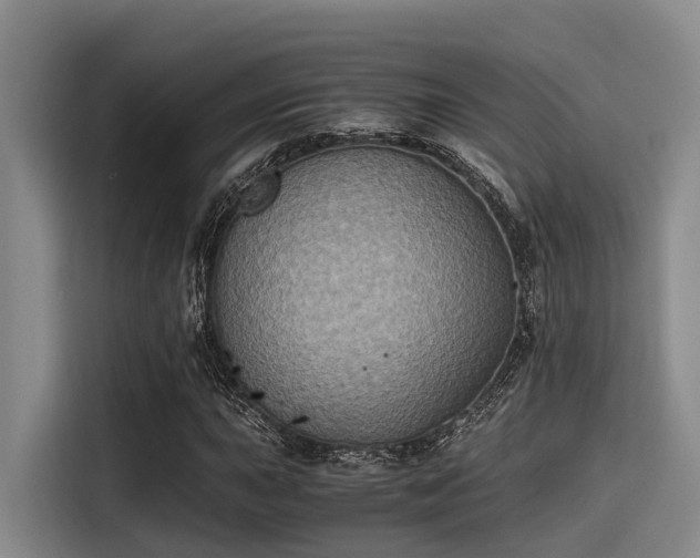 X0000115411015200911101607