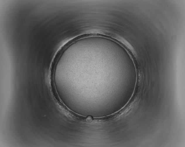 X0000115411020200911101607