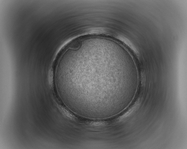 X0000115411021200911101607