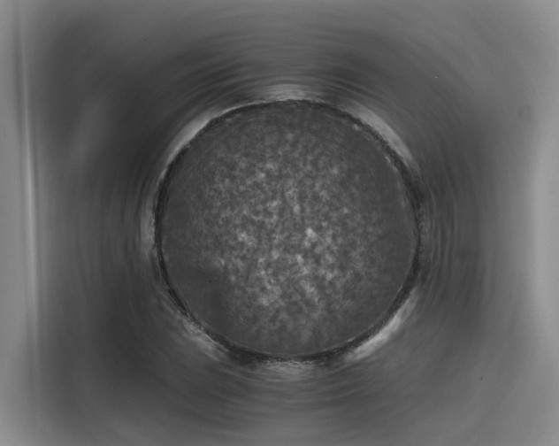 X0000115411023200911101607