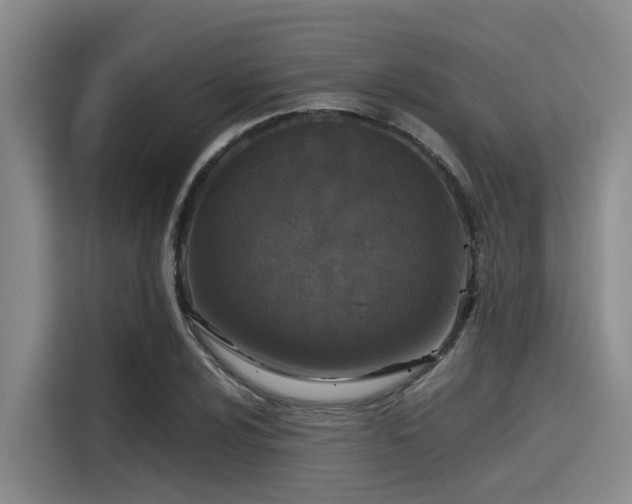 X0000115411024200911101607