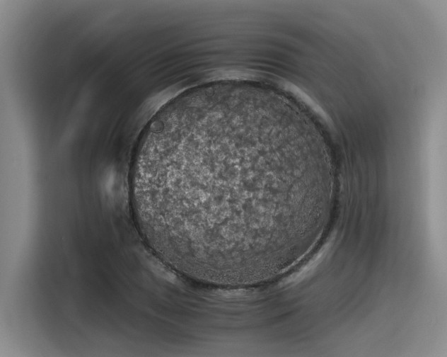 X0000115411025200911101607