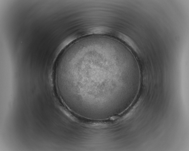 X0000115411026200911101607