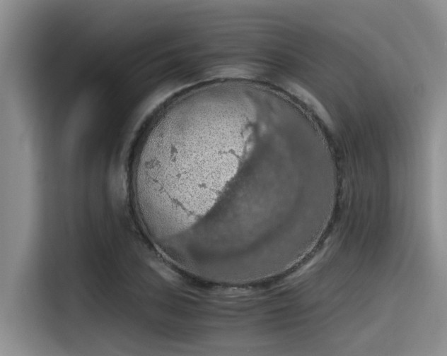 X0000115411027200911101607