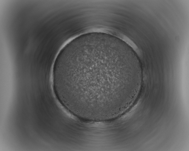 X0000115411028200911101607