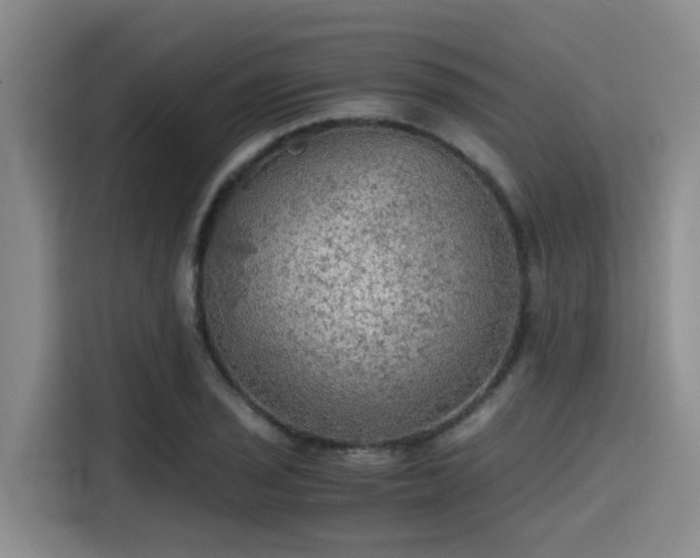 X0000115411029200911101607