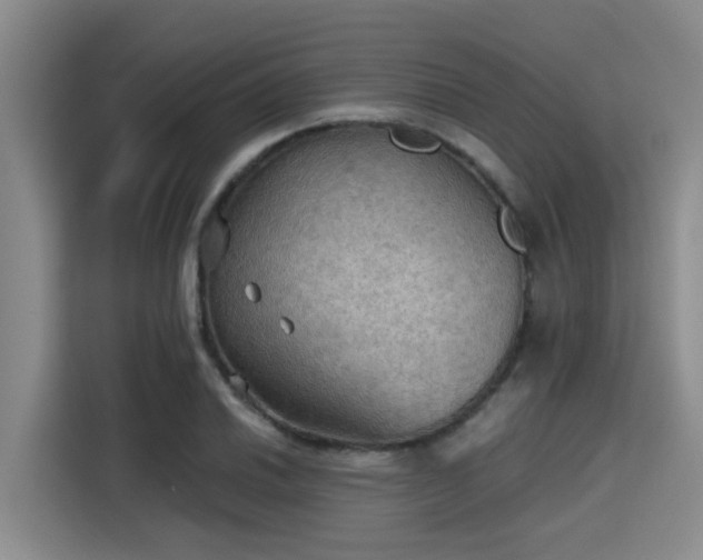 X0000115411030200911101607