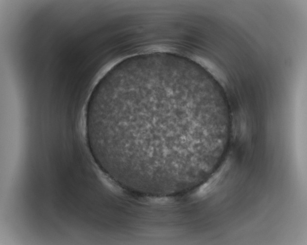 X0000115411031200911101607