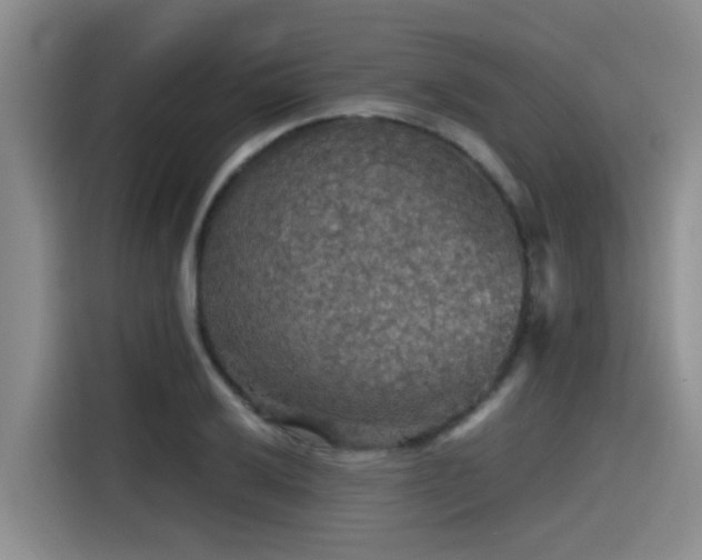 X0000115411032200911101607