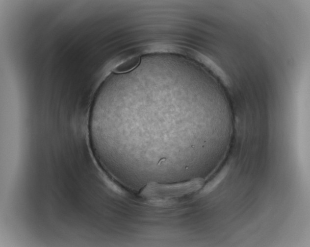 X0000115411033200911101607