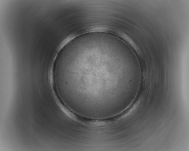 X0000115411034200911101607
