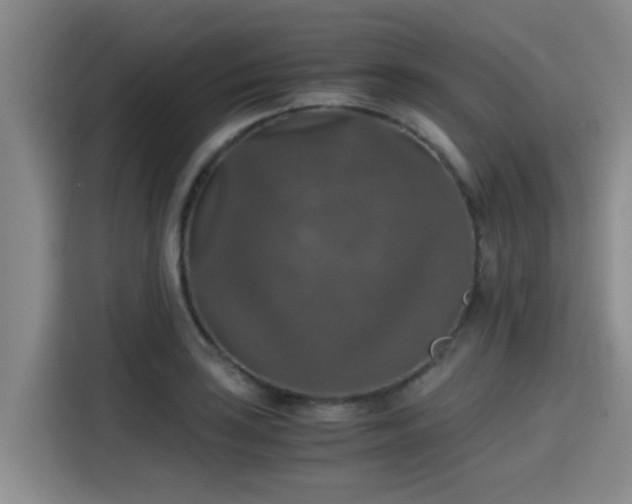 X0000115411035200911101607