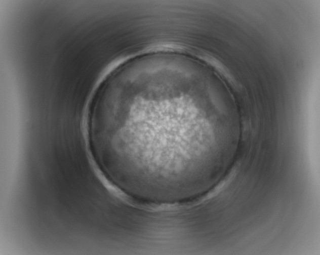 X0000115411038200911101607