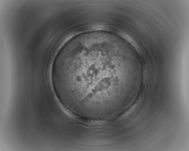 X0000115411039200911101607