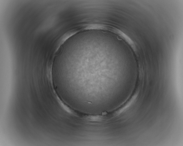 X0000115411041200911101607