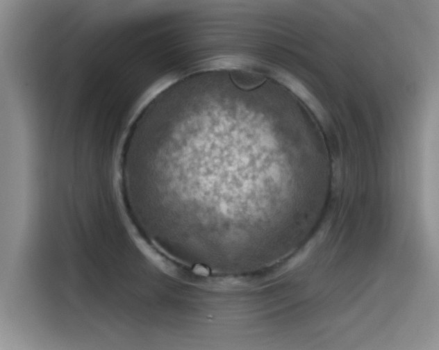 X0000115411042200911101607