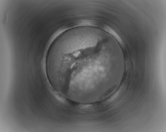 X0000115411043200911101607