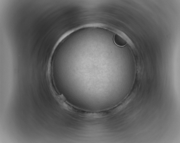 X0000115411044200911101607