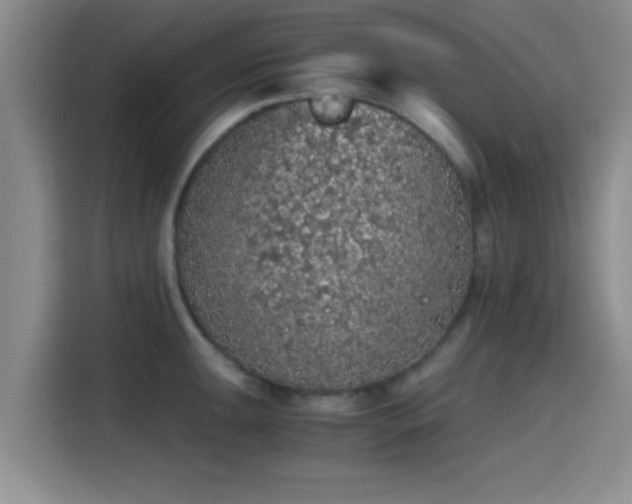 X0000115411047200911101607