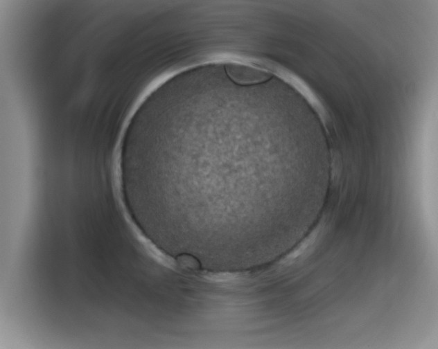 X0000115411048200911101607