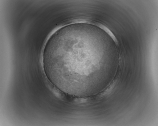 X0000115411051200911101607