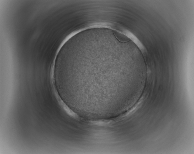 X0000115411052200911101607