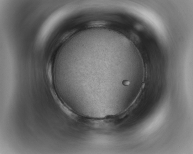 X0000115411054200911101607