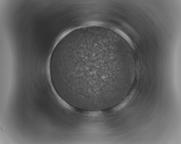 X0000115411055200911101607