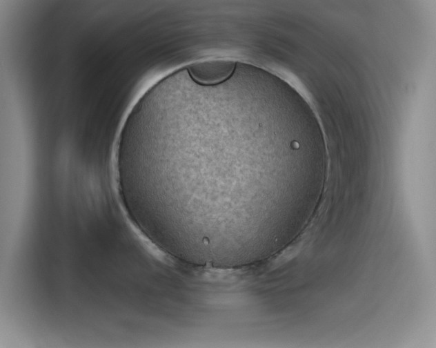 X0000115411056200911101607