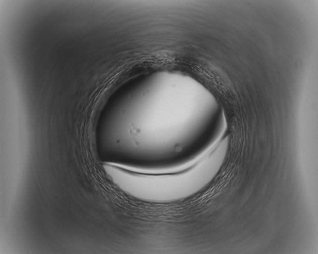 X0000115411057200911101607