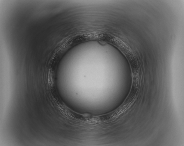 X0000115411058200911101607