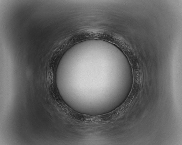 X0000115411061200911101607