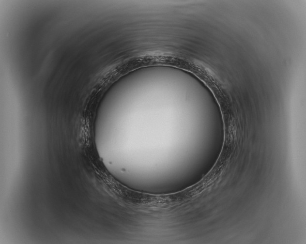 X0000115411062200911101607