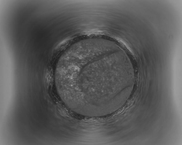 X0000115411063200911101607
