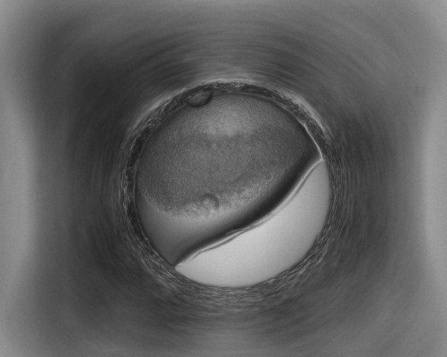 X0000115411064200911101607