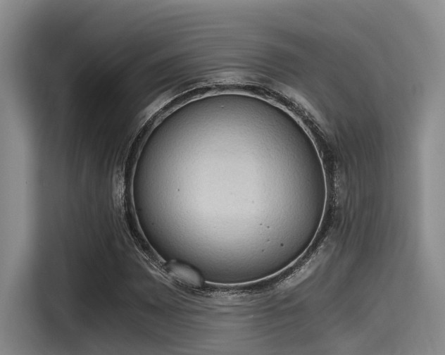 X0000115411065200911101607
