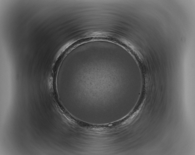 X0000115411066200911101607